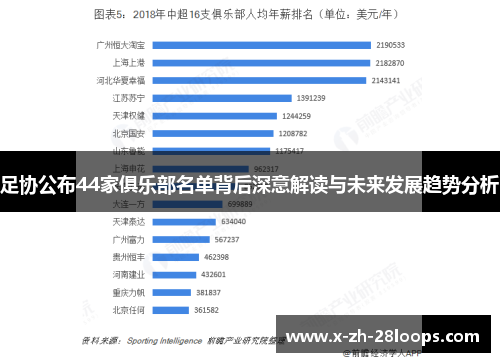 足协公布44家俱乐部名单背后深意解读与未来发展趋势分析 足协公布44家俱乐部名单背后深意解读与未来发展趋势分析