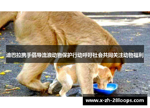 迪巴拉携手倡导流浪动物保护行动呼吁社会共同关注动物福利 迪巴拉携手倡导流浪动物保护行动呼吁社会共同关注动物福利